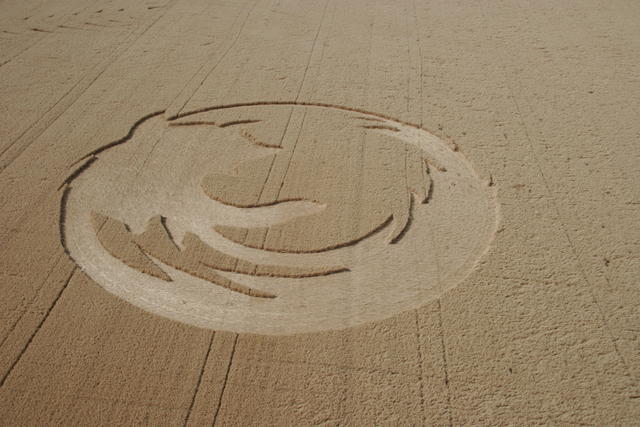 finished crop circle