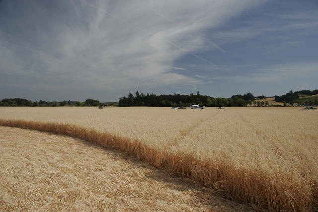 mg_5535.jpg